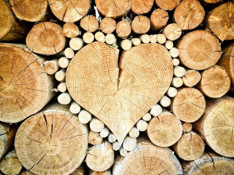 un coeur en bois