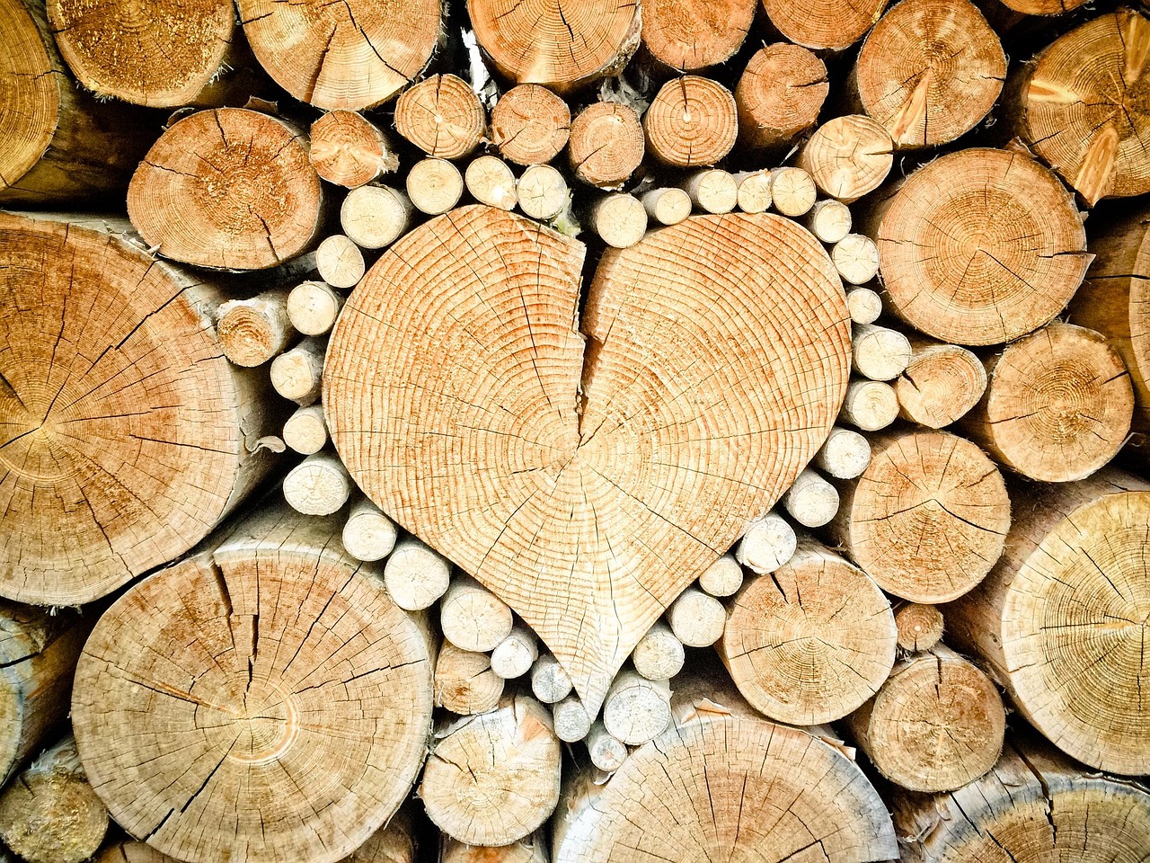 un coeur en bois